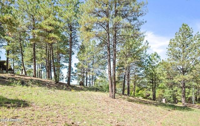 Listing photo 2 for 1654 N Wood Hollow Way Unit 50, Flagstaff AZ 86004