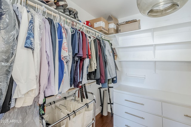 spacious closet with dark wood-type flooring