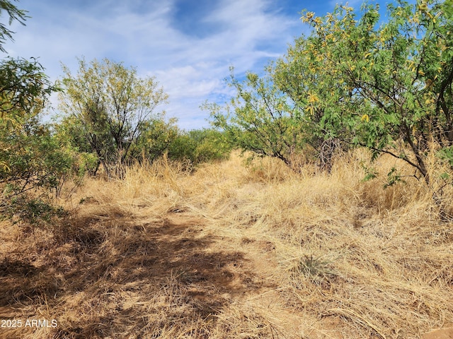 712LOTA N Schrader Rd -, Unit Sierra Vista, AZ 85635