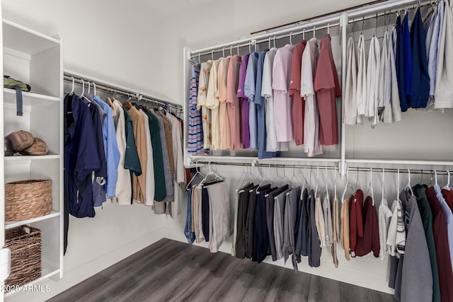 walk in closet featuring hardwood / wood-style flooring