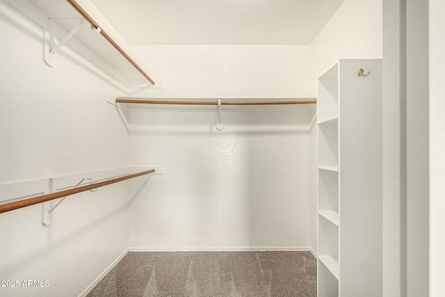 1655 W Stanford Ave, Gilbert, AZ 85233 - walk in closet with carpet flooring