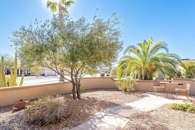 view of yard with a patio