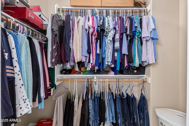 view of spacious closet