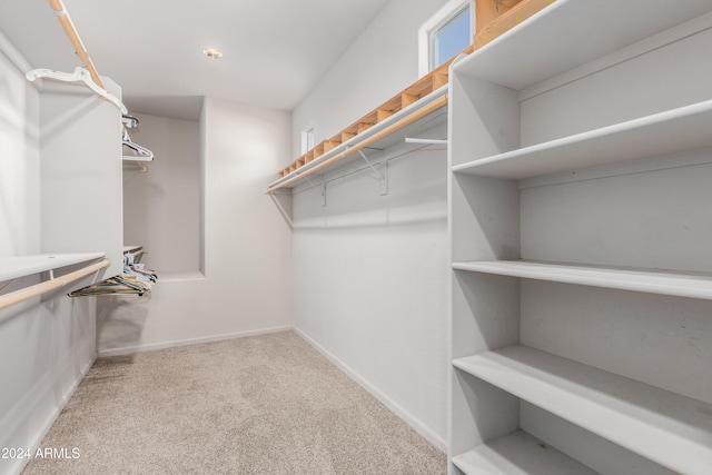 spacious closet with carpet flooring