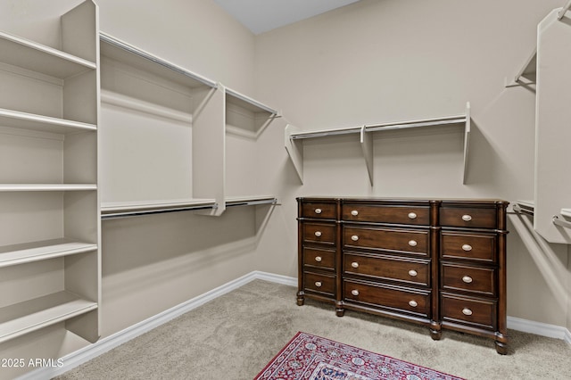 211 W New Dawn Dr, Chandler, AZ 85248 - spacious closet with light carpet