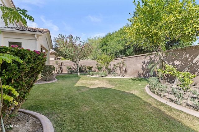 211 W New Dawn Dr, Chandler, AZ 85248 - view of yard