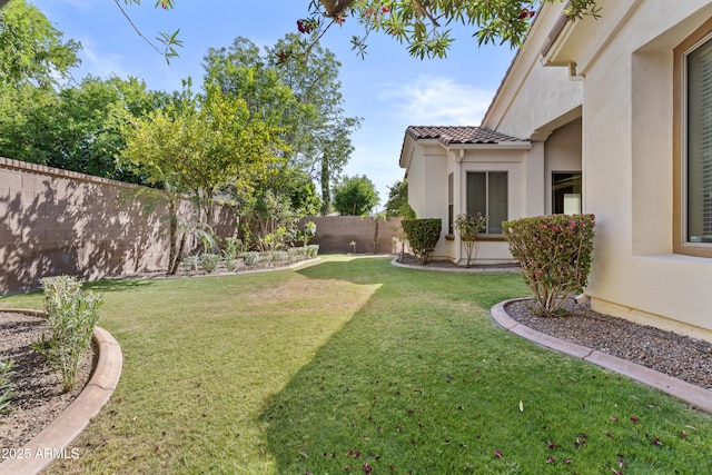 211 W New Dawn Dr, Chandler, AZ 85248 - view of yard