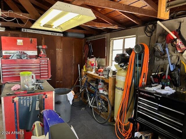 basement with a workshop area