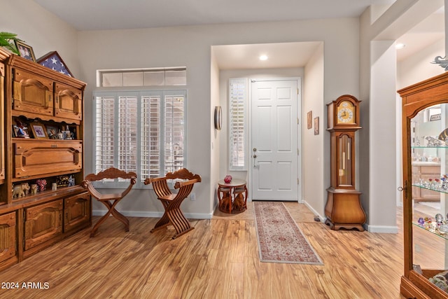 entryway featuring light wood-type flooring