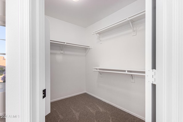 walk in closet featuring dark carpet