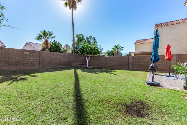 view of yard featuring a patio area