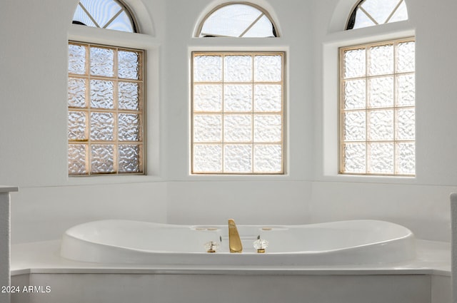 bathroom featuring a healthy amount of sunlight and a tub