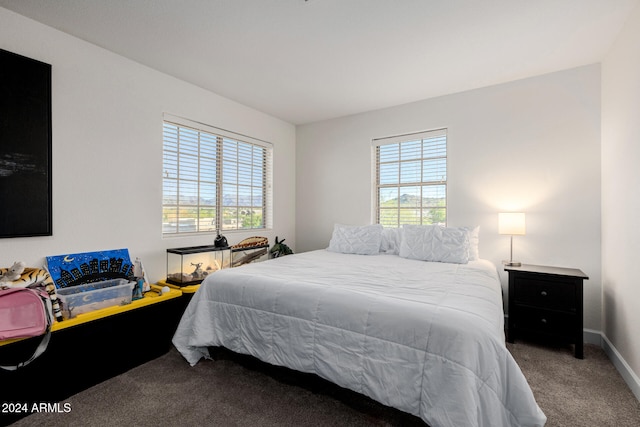 carpeted bedroom with multiple windows