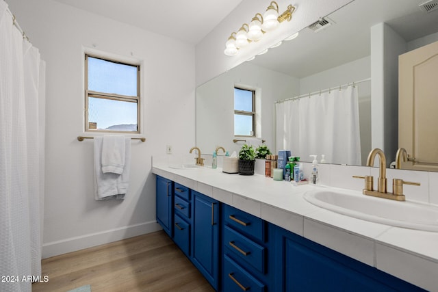 bathroom featuring hardwood / wood-style floors, vanity, and a wealth of natural light