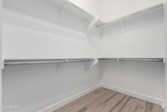 walk in closet with hardwood / wood-style flooring