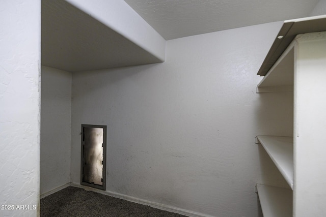 spacious closet with carpet flooring