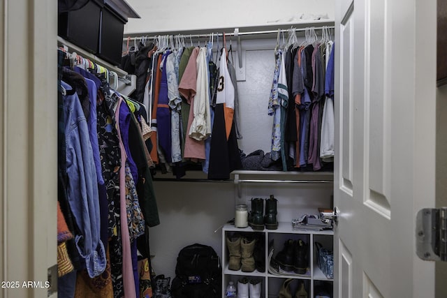 view of walk in closet