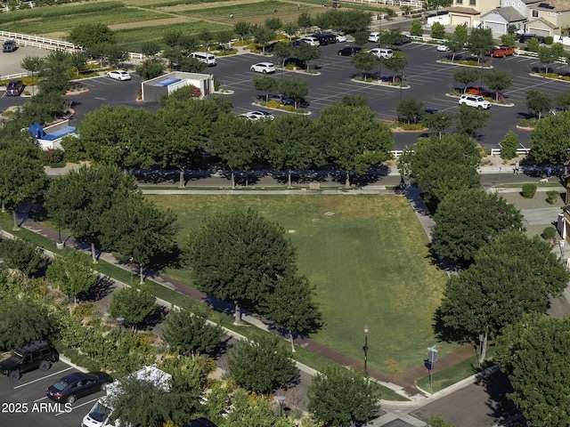 drone / aerial view