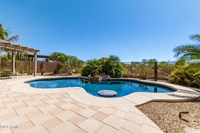 view of pool with a patio area and a pergola