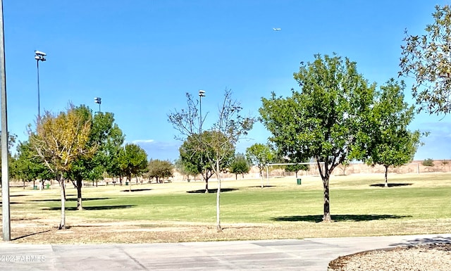 view of home's community with a lawn