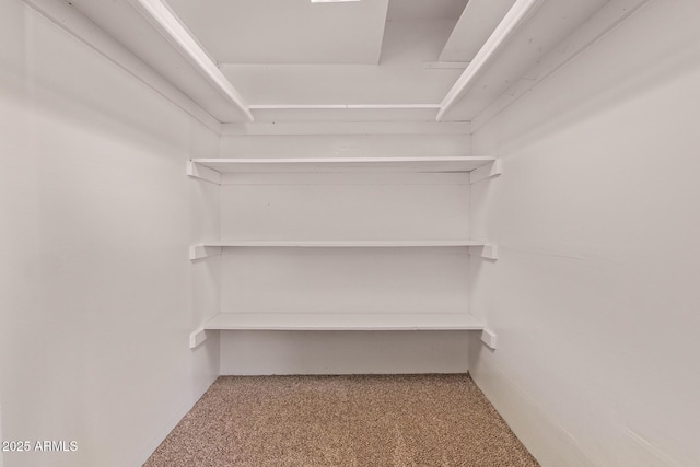 walk in closet featuring carpet flooring