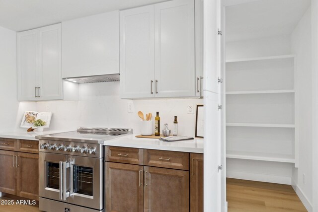 8403 E Fairmount Ave, Scottsdale, AZ 85251 - kitchen featuring high end stainless steel range oven, light wood-style floors, white cabinetry, and light countertops