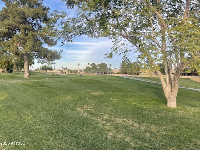 view of home's community featuring a yard