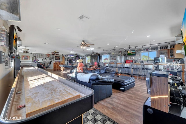 living room featuring ceiling fan and wood-type flooring