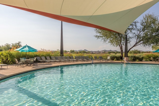 view of swimming pool featuring a patio