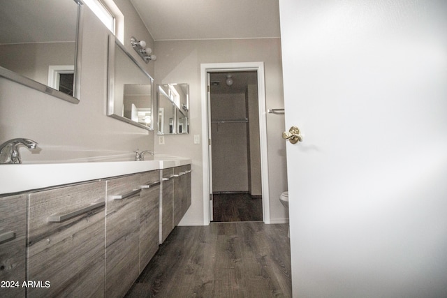 bathroom with vanity, toilet, and wood-type flooring