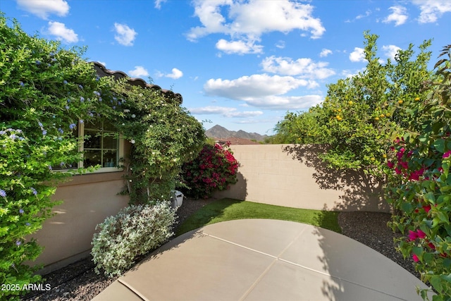 10239 E Salt Bush Dr, Scottsdale, AZ 85255 - view of yard with a patio and fence private yard