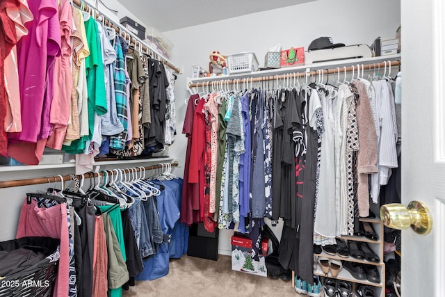 walk in closet with carpet