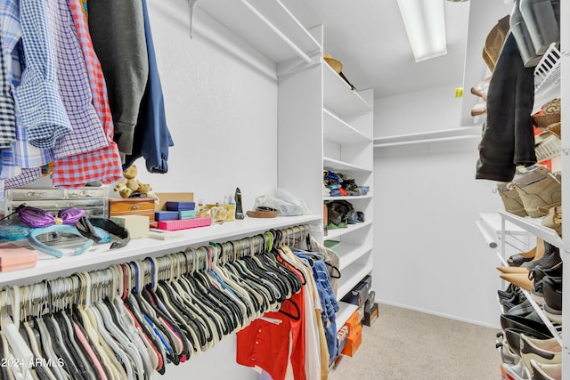 spacious closet featuring carpet floors