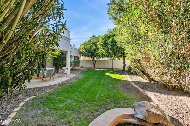 view of yard with a patio area