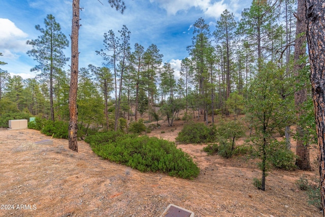 Listing photo 3 for 3109 E Game Trl Unit 250, Payson AZ 85541