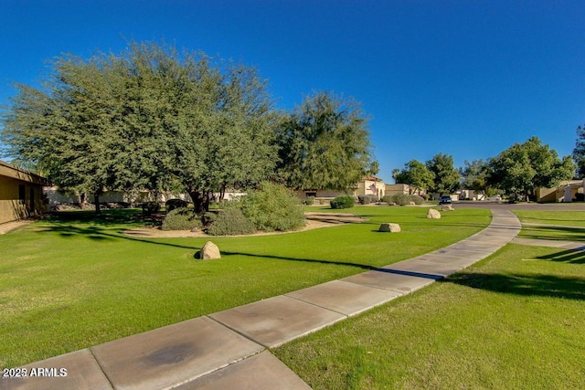 view of home's community with a yard