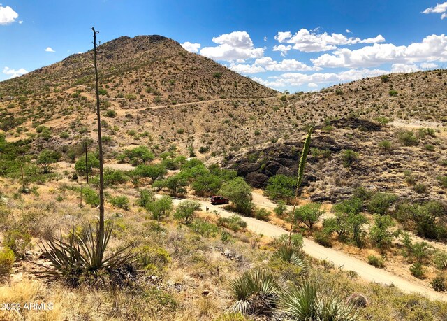 17765 S Copper Cut Trl -, Unit Vail, AZ 85641