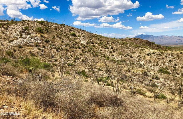 17765 S Copper Cut Trl -, Unit Vail, AZ 85641