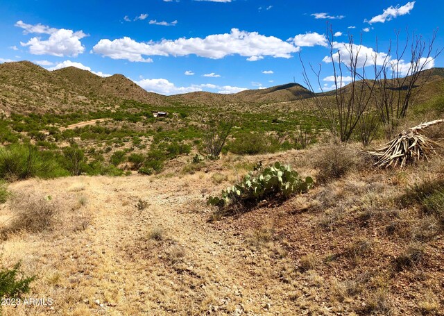 17765 S Copper Cut Trl -, Unit Vail, AZ 85641