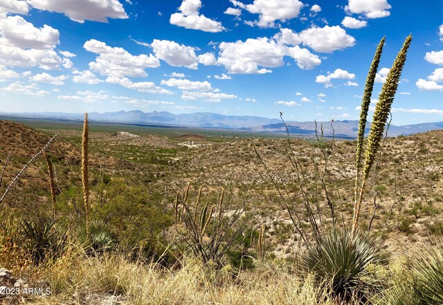 17765 S Copper Cut Trl -, Unit Vail, AZ 85641