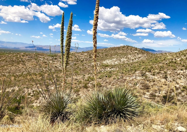 17765 S Copper Cut Trl -, Unit Vail, AZ 85641