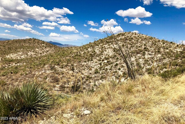 17765 S Copper Cut Trl -, Unit Vail, AZ 85641