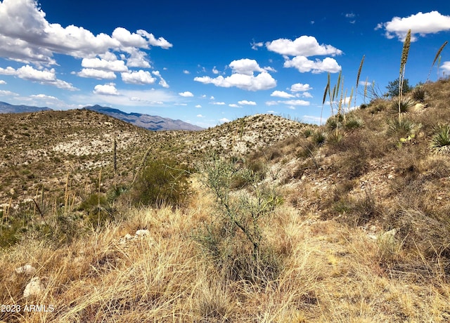 17765 S Copper Cut Trl -, Unit Vail, AZ 85641