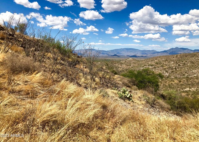 17765 S Copper Cut Trl -, Unit Vail, AZ 85641