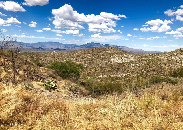 17765 S Copper Cut Trl -, Unit Vail, AZ 85641