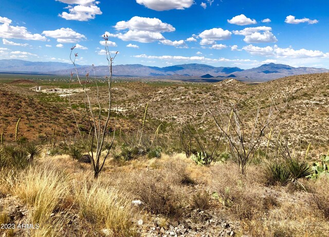 17765 S Copper Cut Trl -, Unit Vail, AZ 85641