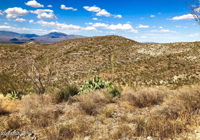 17765 S Copper Cut Trl -, Unit Vail, AZ 85641