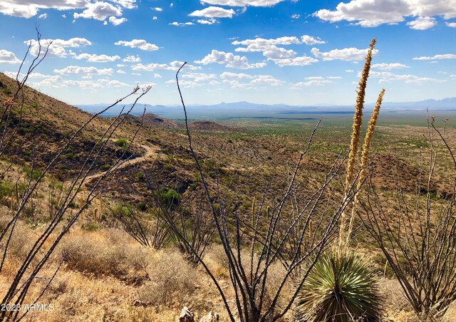 17765 S Copper Cut Trl -, Unit Vail, AZ 85641
