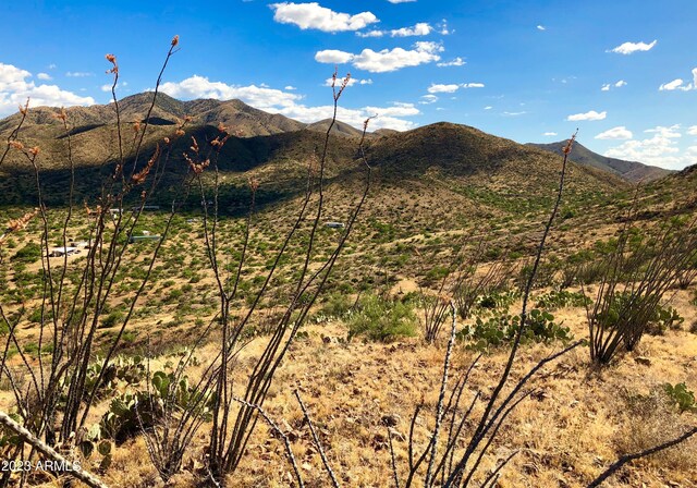 17765 S Copper Cut Trl -, Unit Vail, AZ 85641