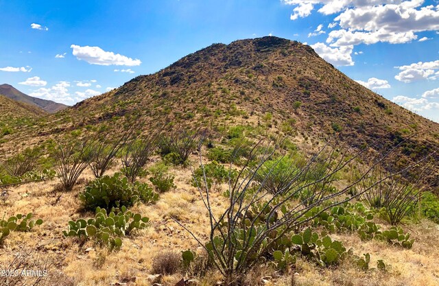 17765 S Copper Cut Trl -, Unit Vail, AZ 85641